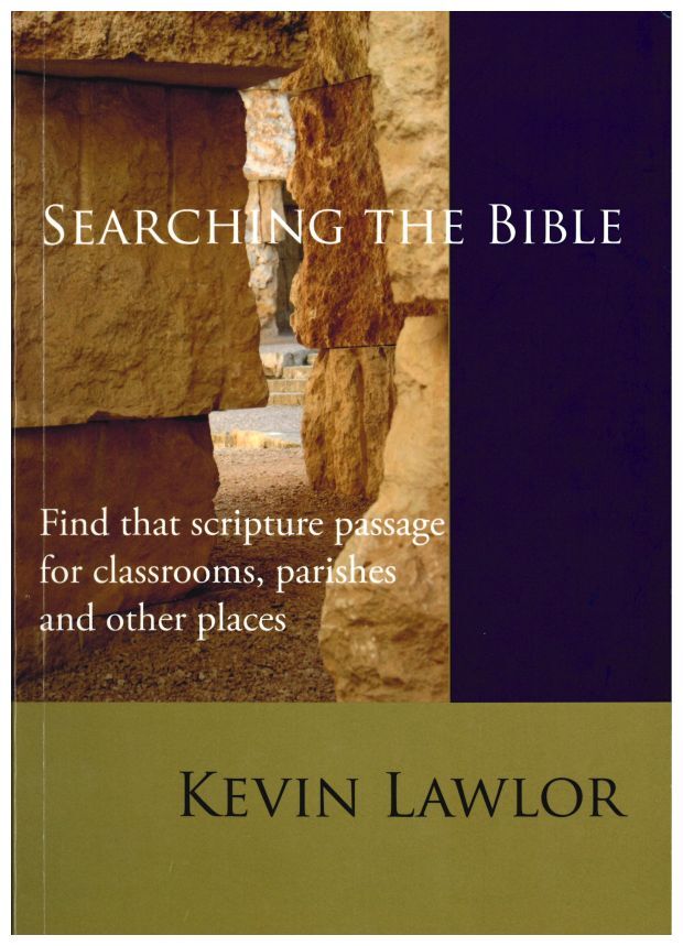 SEARCHING THE BIBLE                       - main product image