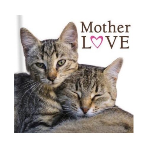 MOTHER LOVE - CATS