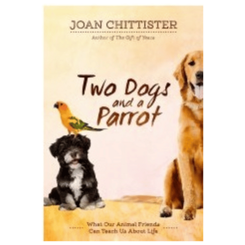 TWO DOGS AND A PARROT - JOAN CHITTISTER