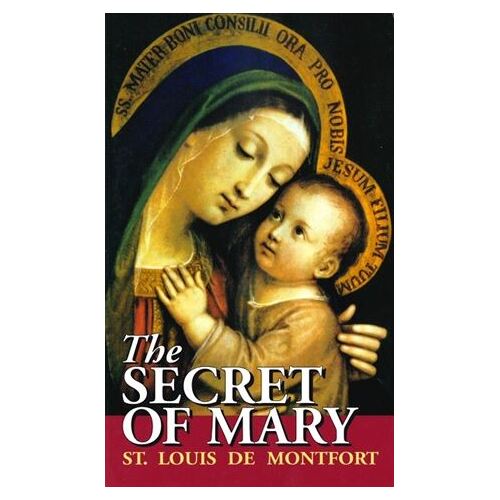 THE SECRET OF MARY                      