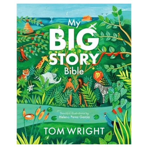 MY BIG STORY BIBLE