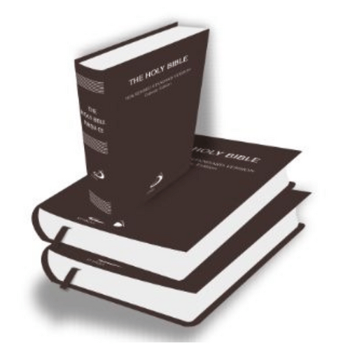 HOLY BIBLE NRSV CATHOLIC EDITION