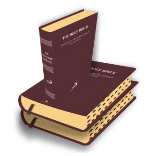 HOLY BIBLE NRSV CATHOLIC EDITION