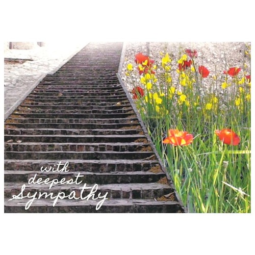 ASSISI CARD SYMPATHY