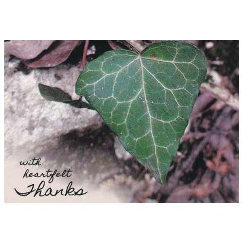 ASSISI CARD THANK YOU                   