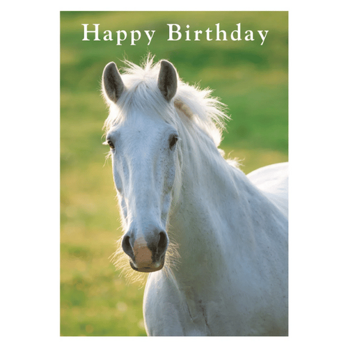 BIRTHDAY CARD - WHITE HORSE