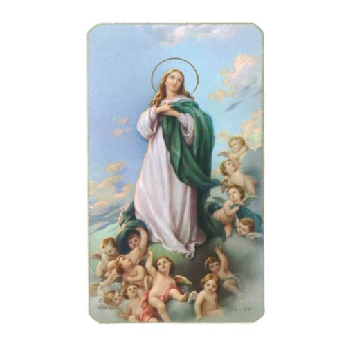 HOLY CARD PKT 100 Our Lady of the ASSUMPTION