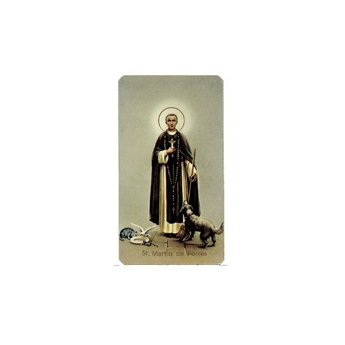 HOLY CARD 400 SERIES PACK OF 100 St Martin 