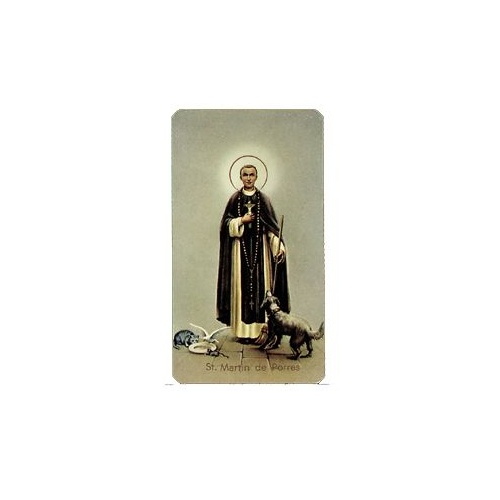 HOLY CARD 400 SERIES PACK OF 100 St Martin