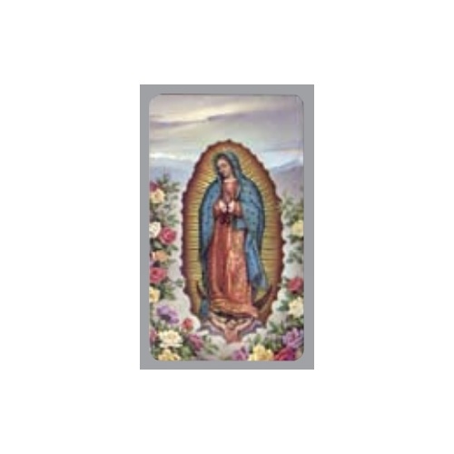 HOLY CARD 400 SERIES PACK OF 100 OL Guadalupe  
