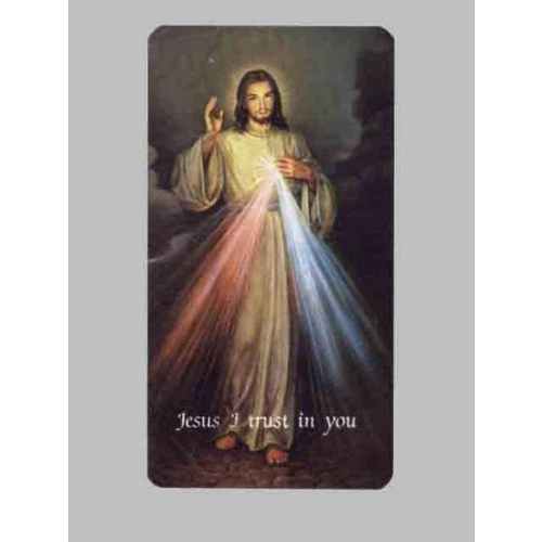 HOLY CARD 400 SERIES PACK OF 100 Divine Mercy 