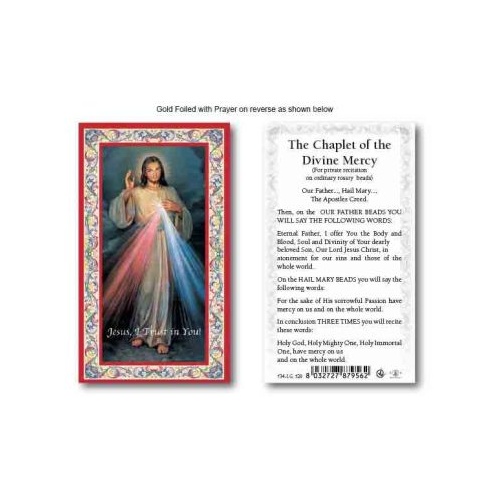 HOLY CARD SERIES 734 DIVINE MERCY CHAPLET PK100
