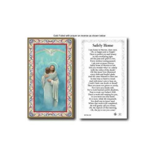 HOLY CARD SERIES 734 SAFELY HOME PK100