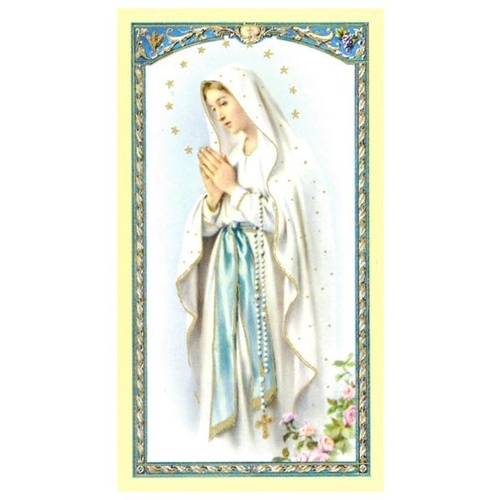HOLY CARDS PACKET OF 100 SERIES 800 Our Lady of Lourdes 