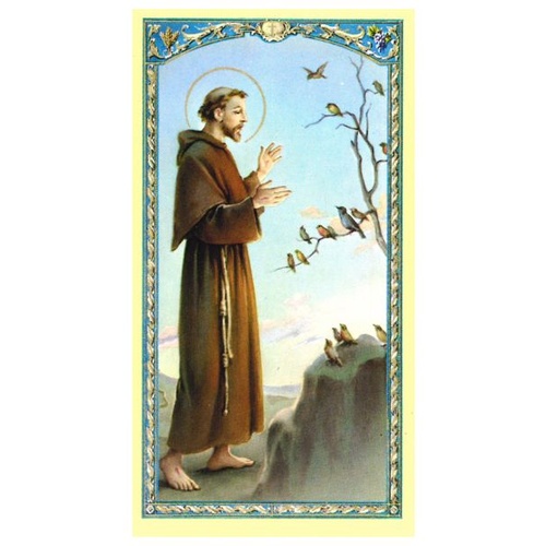 HOLY CARDS PACKET OF 100 SERIES 800 St Francis of Assisi