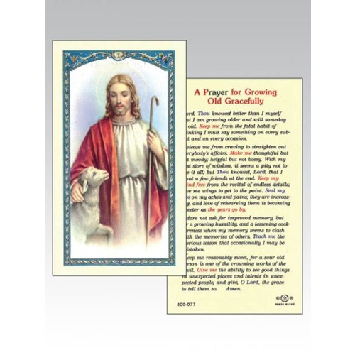 HOLY CARDS PACKET OF 100 SERIES 800 Good Shepherd 