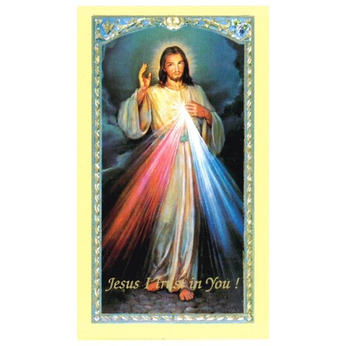 HOLY CARDS PACKET OF 100 SERIES 800 Divine Mercy 