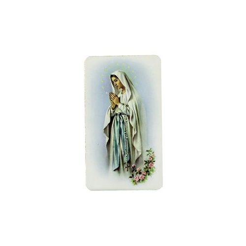 HOLY CARDS ALBA SERIES PKT OF 100 Our Lady of Lourdes