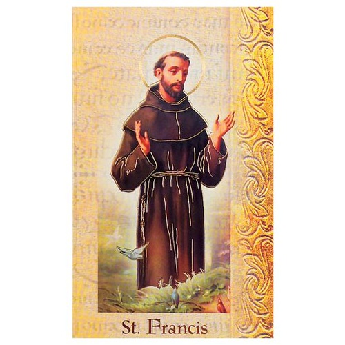 BIOGRAPHY OF ST FRANCIS OF ASSISI