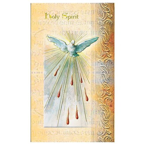 BIOGRAPHY OF THE HOLY SPIRIT