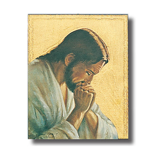 JESUS IN PRAYER                         