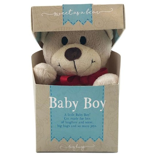 BABY BOY PLUSH BEAR IN A BOX